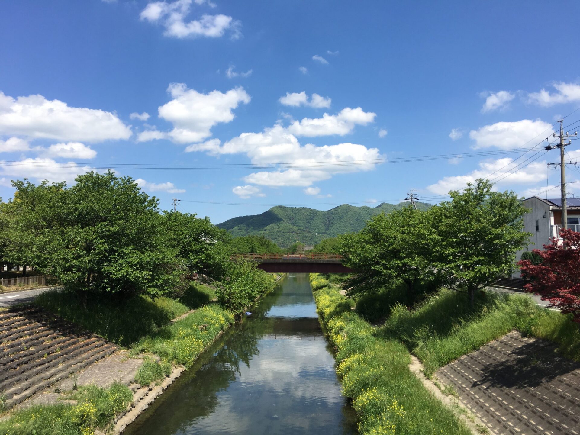 緑が豊か