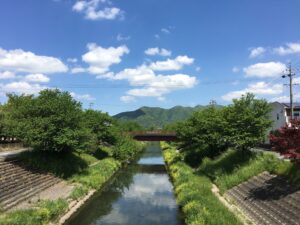 緑が豊か