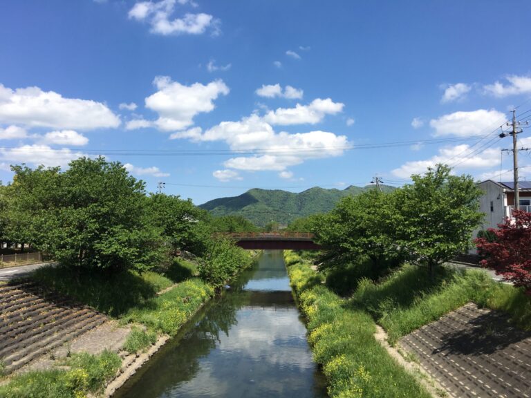 緑が豊か