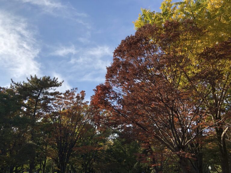 紅葉で幸せ